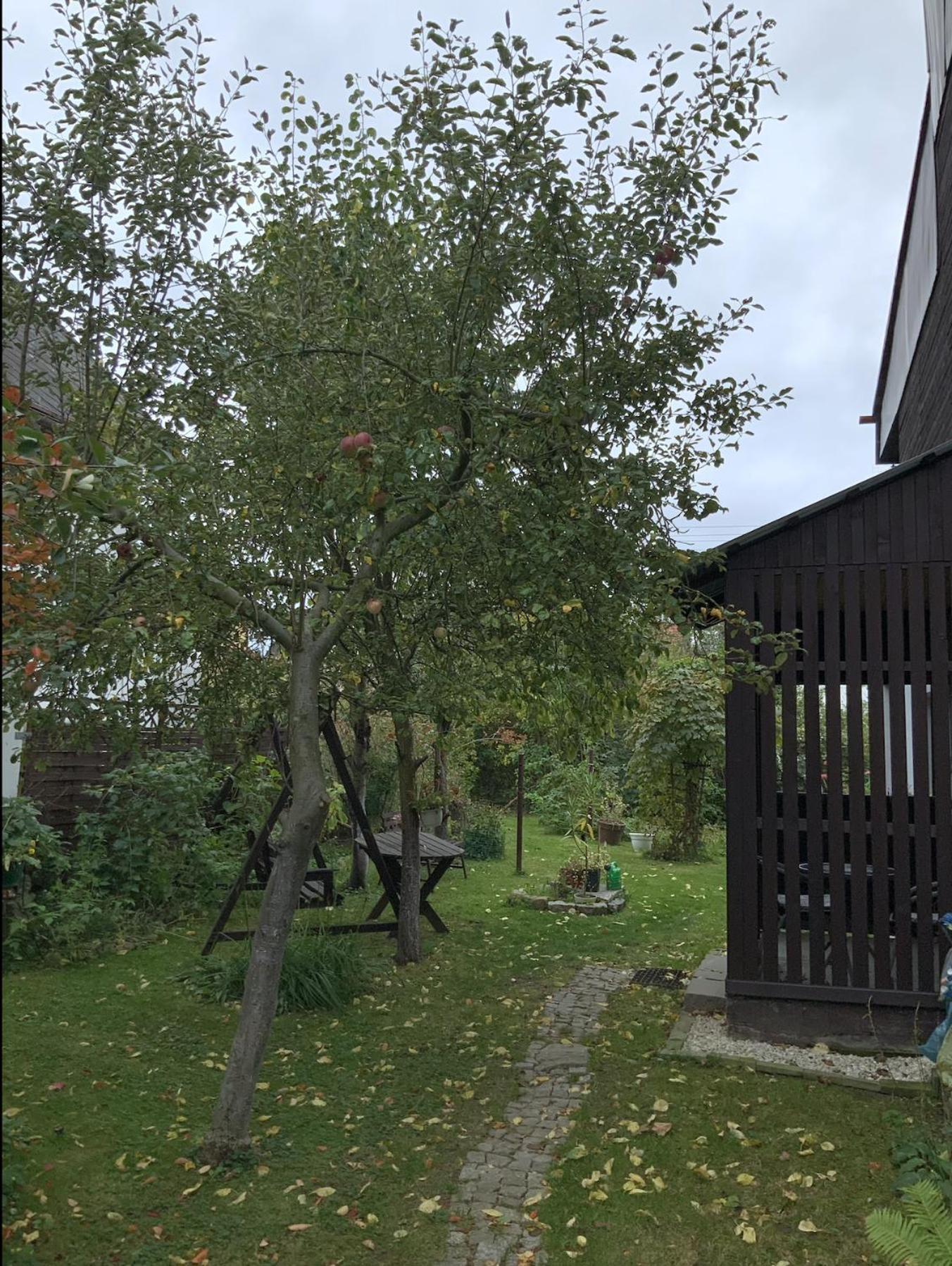 Apartament pod Zamkiem Chojnik Jelenia Góra Zewnętrze zdjęcie
